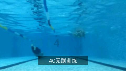 小猫钓鱼游戏龙王版有船